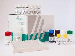 Human OPG(Osteoprotegerin) ELISA  骨保护素检测试剂盒| BI-20403